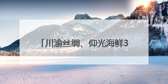 川渝丝绸、仰光海鲜3小时直达！成都双流⇌缅甸仰光全货运航线开通