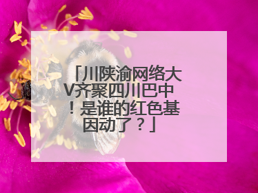 川陕渝网络大V齐聚四川巴中！是谁的红色基因动了？