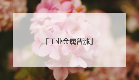 工业金属普涨