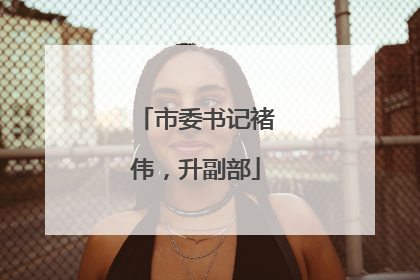 市委书记褚伟，升副部