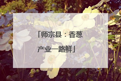 师宗县：香葱产业一路鲜
