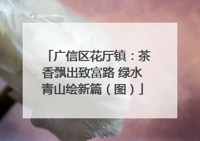 广信区花厅镇：茶香飘出致富路 绿水青山绘新篇（图）