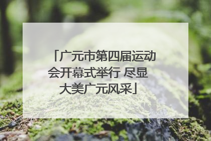 广元市第四届运动会开幕式举行 尽显大美广元风采