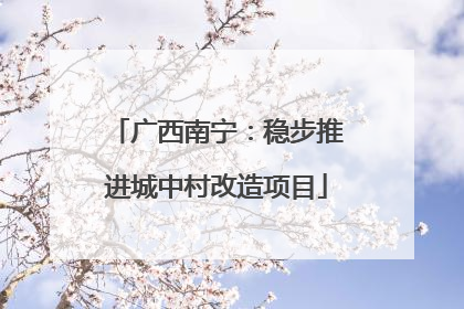 广西南宁：稳步推进城中村改造项目