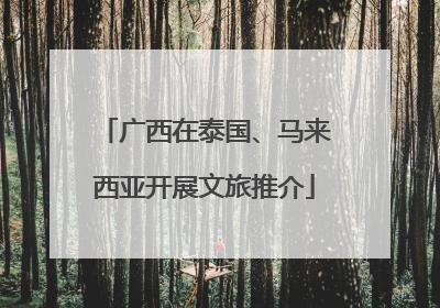 广西在泰国、马来西亚开展文旅推介