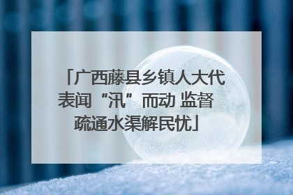 广西藤县乡镇人大代表闻“汛”而动 监督疏通水渠解民忧