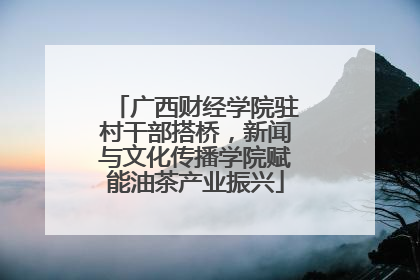 广西财经学院驻村干部搭桥，新闻与文化传播学院赋能油茶产业振兴