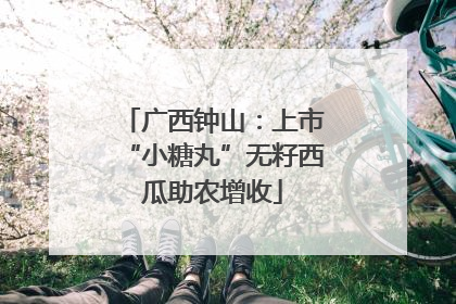 广西钟山：上市“小糖丸”无籽西瓜助农增收