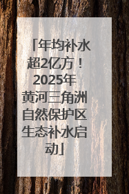 年均补水超2亿方！2025年黄河三角洲自然保护区生态补水启动