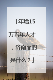 年增15万青年人才，济南靠的是什么？