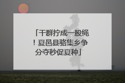 干群拧成一股绳！夏邑县骆集乡争分夺秒促夏种