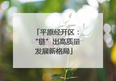 平原经开区：“链”出高质量发展新格局