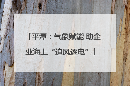 平潭：气象赋能 助企业海上“追风逐电”