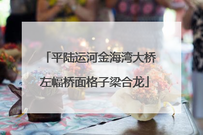 平陆运河金海湾大桥左幅桥面格子梁合龙