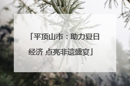 平顶山市：助力夏日经济 点亮非遗盛宴