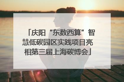 庆阳“东数西算”智慧低碳园区实践项目亮相第三届上海碳博会
