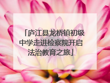 庐江县龙桥镇初级中学走进检察院开启法治教育之旅