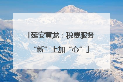 延安黄龙：税费服务“新”上加“心”
