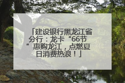 建设银行黑龙江省分行：龙卡“66节”惠购龙江，点燃夏日消费热浪！