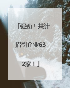 强劲！共计招引企业632家！