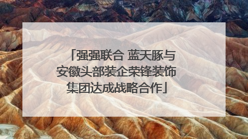 强强联合 蓝天豚与安徽头部装企荣锋装饰集团达成战略合作