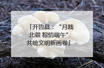 开鲁县：“月践北疆 粽情端午”共绘文明新画卷