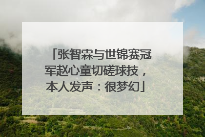 张智霖与世锦赛冠军赵心童切磋球技，本人发声：很梦幻