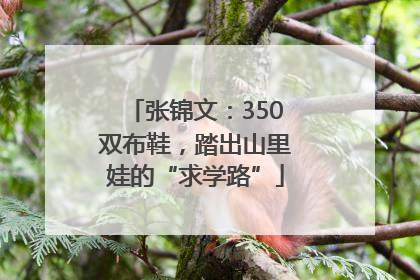 张锦文：350双布鞋，踏出山里娃的“求学路”