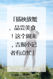 插秧放蟹、品尝美食！这个周末，吉报小记者有点忙