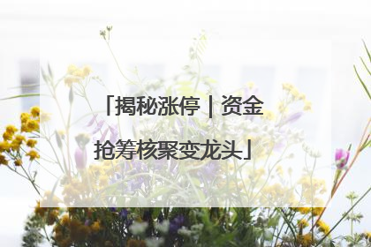揭秘涨停｜资金抢筹核聚变龙头