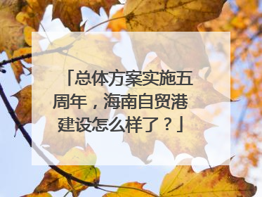 总体方案实施五周年，海南自贸港建设怎么样了？