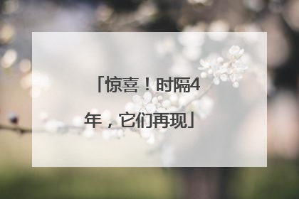 惊喜！时隔4年，它们再现