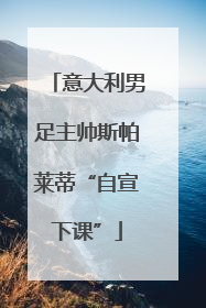 意大利男足主帅斯帕莱蒂“自宣下课”
