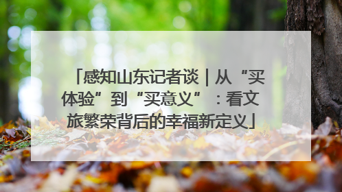 感知山东记者谈｜从“买体验”到“买意义”：看文旅繁荣背后的幸福新定义