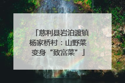 慈利县岩泊渡镇杨家桥村：山野菜变身“致富菜”