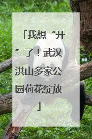 我想“开”了！武汉洪山多家公园荷花绽放