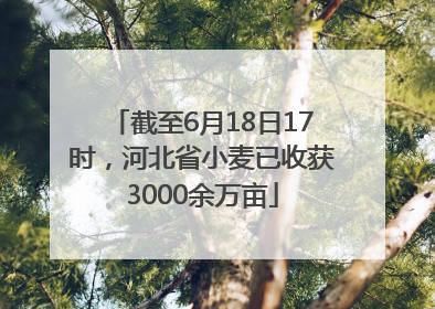 截至6月18日17时，河北省小麦已收获3000余万亩
