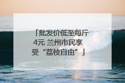 批发价低至每斤4元 兰州市民享受“荔枝自由”
