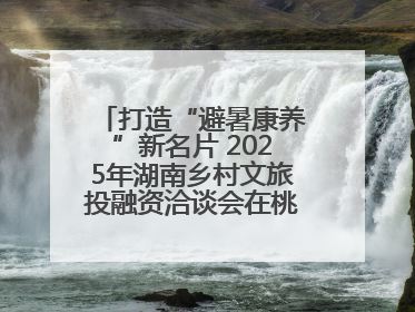 打造“避暑康养”新名片 2025年湖南乡村文旅投融资洽谈会在桃江举办