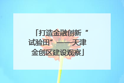 打造金融创新“试验田”——天津金创区建设观察