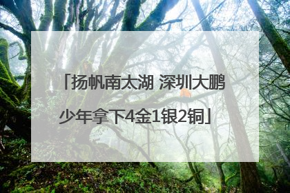 扬帆南太湖 深圳大鹏少年拿下4金1银2铜