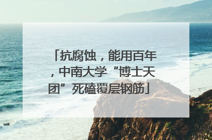 抗腐蚀，能用百年，中南大学“博士天团”死磕覆层钢筋