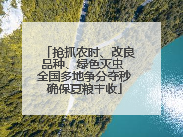 抢抓农时、改良品种、绿色灭虫 全国多地争分夺秒确保夏粮丰收