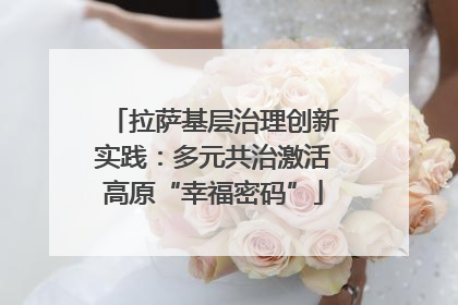 拉萨基层治理创新实践：多元共治激活高原“幸福密码”