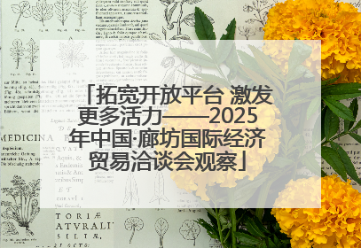 拓宽开放平台 激发更多活力——2025年中国·廊坊国际经济贸易洽谈会观察