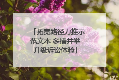 拓宽路径力推示范文本 多措并举升级诉讼体验