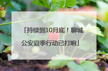 持续到10月底！聊城公安夏季行动已打响