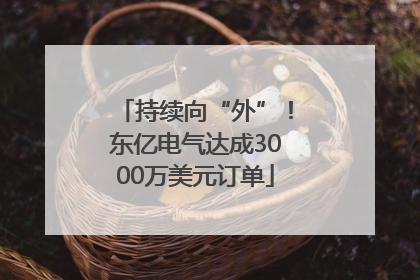 持续向“外”！东亿电气达成3000万美元订单