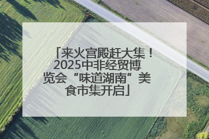 来火宫殿赶大集！2025中非经贸博览会“味道湖南”美食市集开启