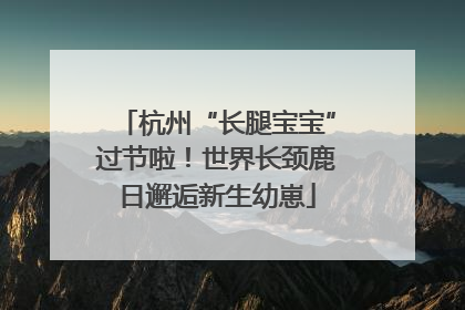 杭州“长腿宝宝”过节啦！世界长颈鹿日邂逅新生幼崽